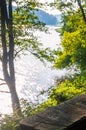 Sunny view on wooden forest bench, summer forest, flowing river stream Royalty Free Stock Photo