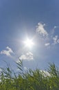 Sunny warm Summer sky Royalty Free Stock Photo