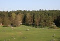 Sunny weekend in park of Vilnius