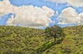 Happy Camp Canyon Regional Park Moorpark California Royalty Free Stock Photo