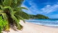 Sunny white sand beach and coconut palms in Paradise island Royalty Free Stock Photo
