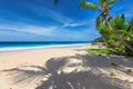 Sunny white sand beach and coconut palms in Paradise island