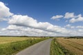 Sunny windmill and a road