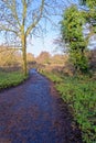 A sunny winter day along the River Kennet Royalty Free Stock Photo