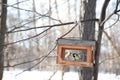bird titmouse in a feeder in the park Royalty Free Stock Photo