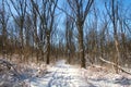 Fresh snow covers a trail and a forest landscape Royalty Free Stock Photo