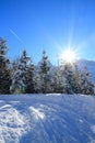 Sunny winter day Royalty Free Stock Photo