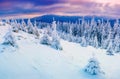 Sunny winter landscape Royalty Free Stock Photo