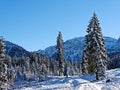 Hiking trail in snowy mountain forest landscape by blue sky Royalty Free Stock Photo