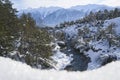 Sunny winter landscape with mountain river and pine trees in Austrian Alps, Mieming, Tyrol, Austria Royalty Free Stock Photo