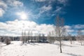 Sunny winter landscape