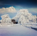 Sunny winter morning in the mountain village after heavy snowfall. Royalty Free Stock Photo