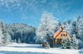 Winter forest in the Carpathians. Lake Vito