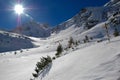 Sunny Winter in the mountain