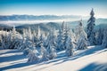 Sunny winter view of Carpathian mountains with snow covered fir trees. Frosty outdoor scene, Happy New Year celebration concept. B Royalty Free Stock Photo