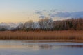 Sunny winter wetland landscape with reed and bare trees reflecting in the water with a clolorful evening sky