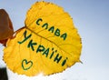 sunny yellow autumn leaf with an inscription in Ukrainian translated glory to Ukraine against of a cloudless blue sky