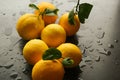 Sunny yellow citrus fruit glistening with rain Royalty Free Stock Photo