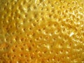 Sunny yellow glossy ceramics lemon orange peel texture Royalty Free Stock Photo