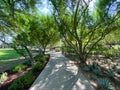 Sunnylands center and garden in Rancho Mirage.