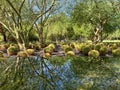 Sunnylands center and garden in Rancho Mirage.