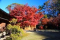 Sunpu Castle , Shizuoka City,Japan