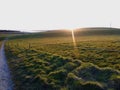 Sunray over green field Royalty Free Stock Photo