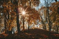 Sunrays breaking through the trees in autumn park