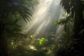 sunrays filtering through misty jungle foliage