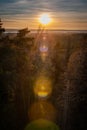 Sunrays shining over green forst of high treetops in a mix forest. Royalty Free Stock Photo