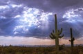 Sunrays And Storm Clouds Over Arizona Desert Royalty Free Stock Photo