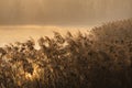 sunrice over Jaroslavice pond, Czech Republic