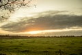 Sunrise above meadows in The Netherlands Royalty Free Stock Photo