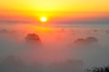 Sunrise above the tree in the clouds