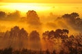 Sunrise above the tree in the clouds