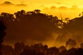 Sunrise above the tree in the clouds