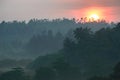 Sunrise above tropical palm jungle with sun rays ang thick morning