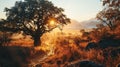 Sunrise in the African savanna inspired by South Africa nature