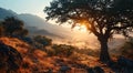 Sunrise in the African savanna inspired by South Africa nature