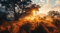 Sunrise in the African savanna inspired by South Africa nature Royalty Free Stock Photo