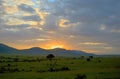 Sunrise in african savanna, Kenya, Africa Royalty Free Stock Photo