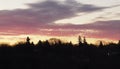 Sunrise Along The River Bank In Saskatoon Saskatchewan Royalty Free Stock Photo