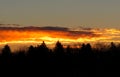 Sunrise Along The River Bank In Saskatoon Saskatchewan