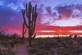 Sunrise Along A Desert Trail Near Phoenix AZ