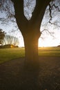 Sunrise along the famed Cliff Walk, the 3.5-mile stroll along a rocky walkway that overlooks the Atlantic Ocean, mansions and