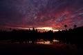 Sunrise at  Angkor Wat is a Buddhist temple complex in Siem Reap, Cambodia Royalty Free Stock Photo