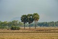 Sunrise at Anlung Pring Protected Landscape