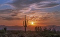 Sunrise In the Arizona Desert With Cactus & Mountain Range Royalty Free Stock Photo