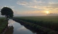 sunrise atmosphere by the river and rice fields