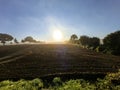 Sunrise in autumn over freshly seeded field Royalty Free Stock Photo